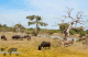 Yala Nationalpark